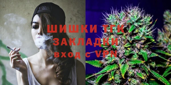 гидра Балахна