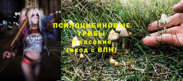 прущие крисы Баксан