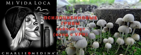 амф Балабаново