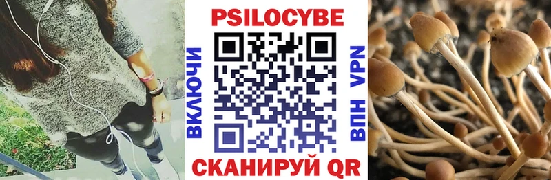Псилоцибиновые грибы мухоморы  Купить  Аргун 